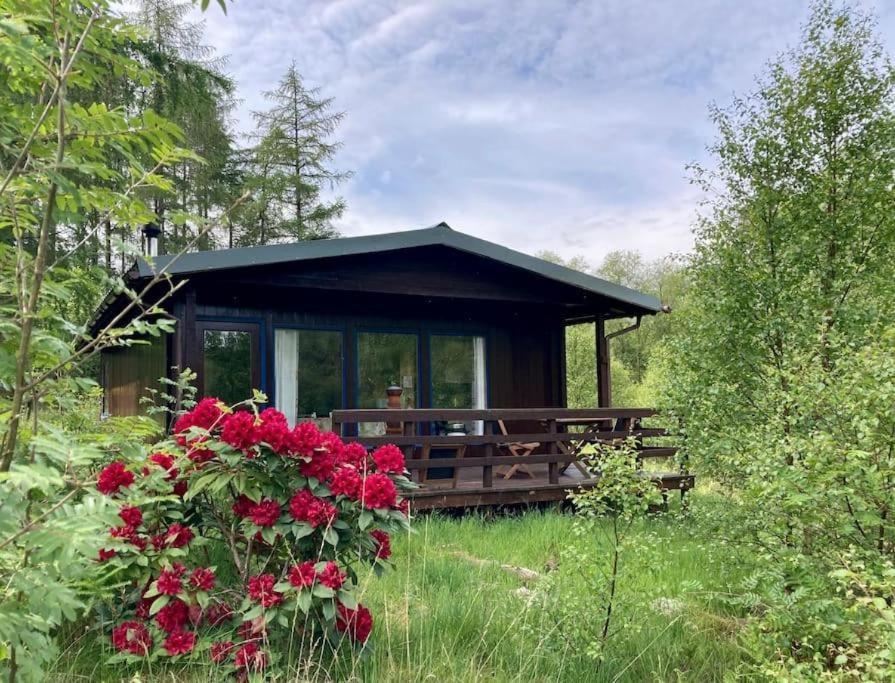 Apartament Woodland Retreats Fort William Zewnętrze zdjęcie